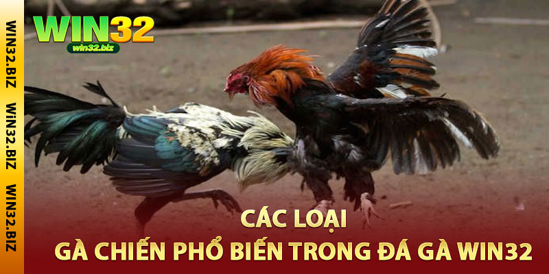 đá gà Win32