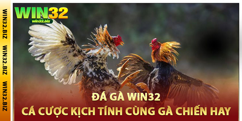 Đá Gà Win32