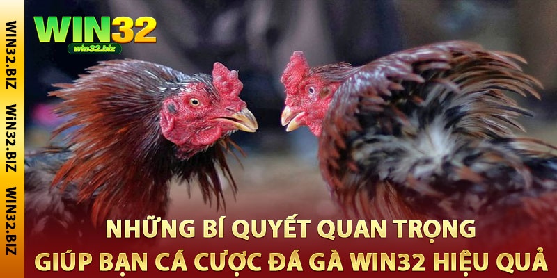 đá gà Win32
